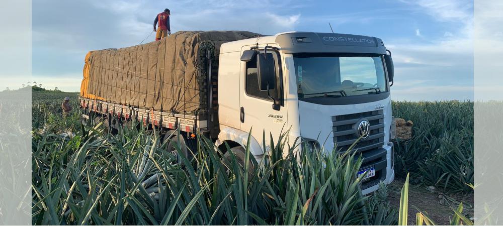 Transporte Rodoviário